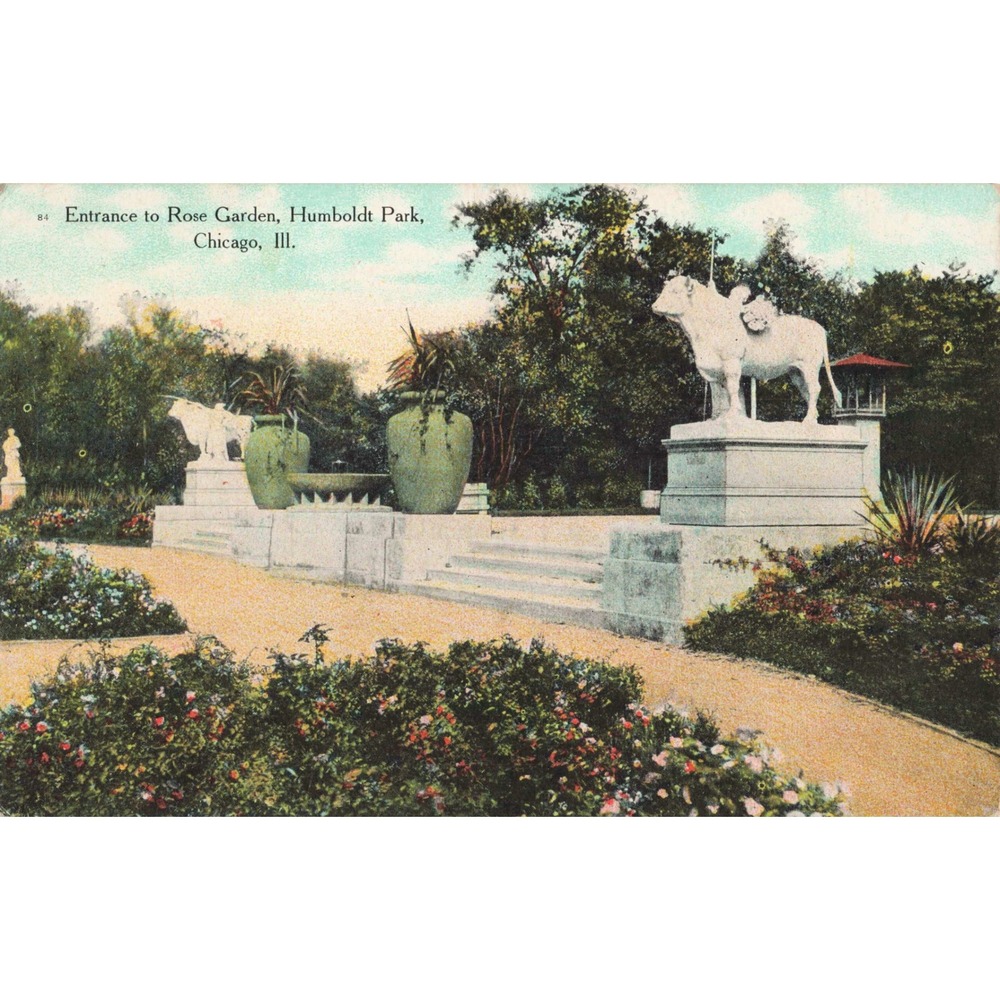 Vtg Entrance to Rose Garden Humboldt Park Chicago Illinois Postcard Bison #84